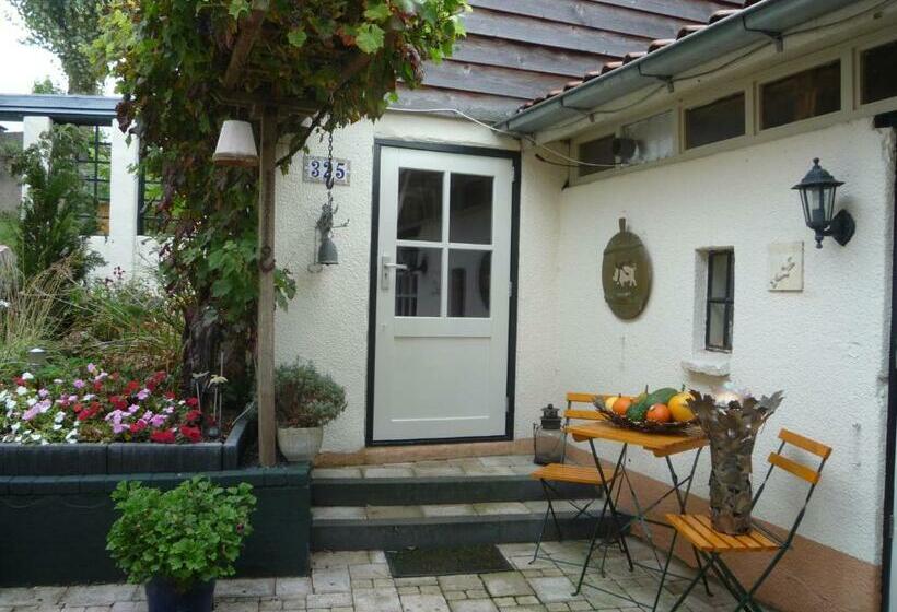 B&b La Cigale