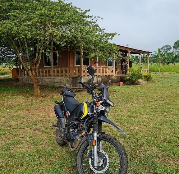 住宿加早餐  Jungle Trailz Kabini