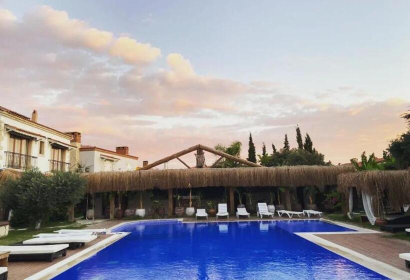 Albeon Luxury Hotel   Alacatı