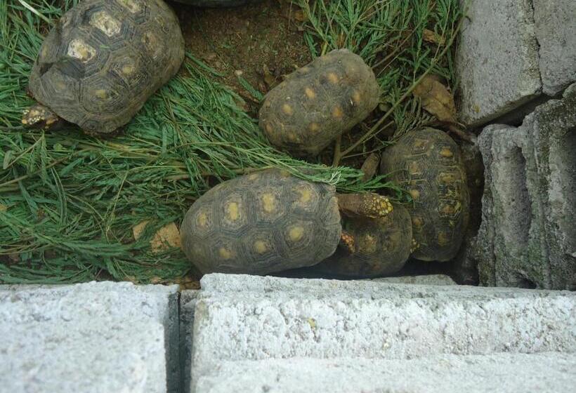 هاستل Posada Sunshine Paradise