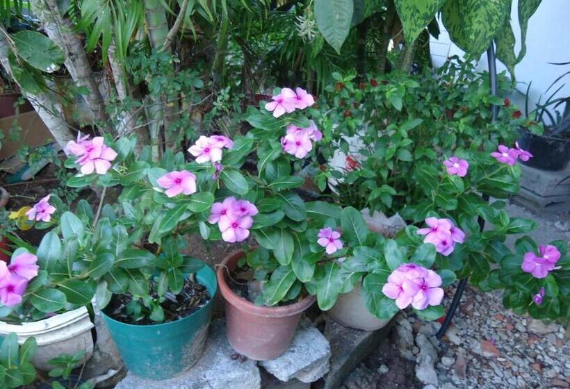 هاستل Posada Sunshine Paradise