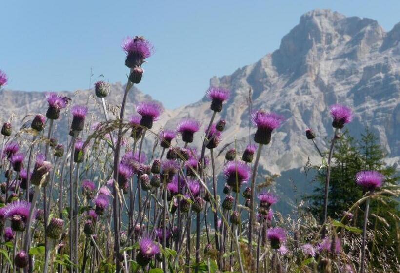 Garni Bonaria