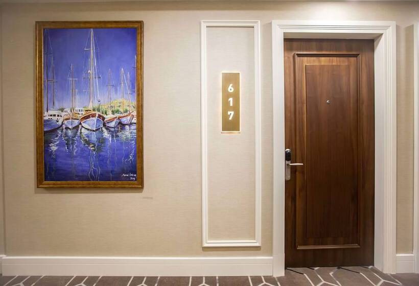 هتل Ramada Plaza Sultanahmet