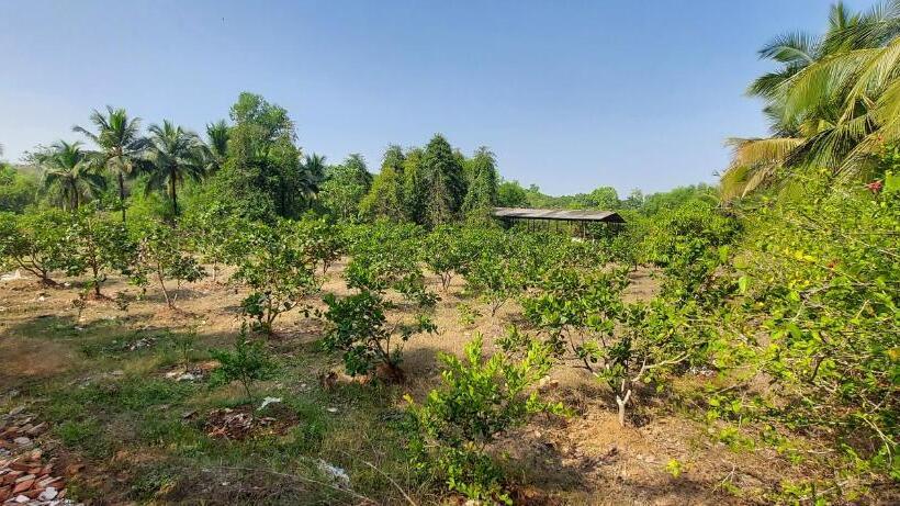 فندق Sneha Farm House