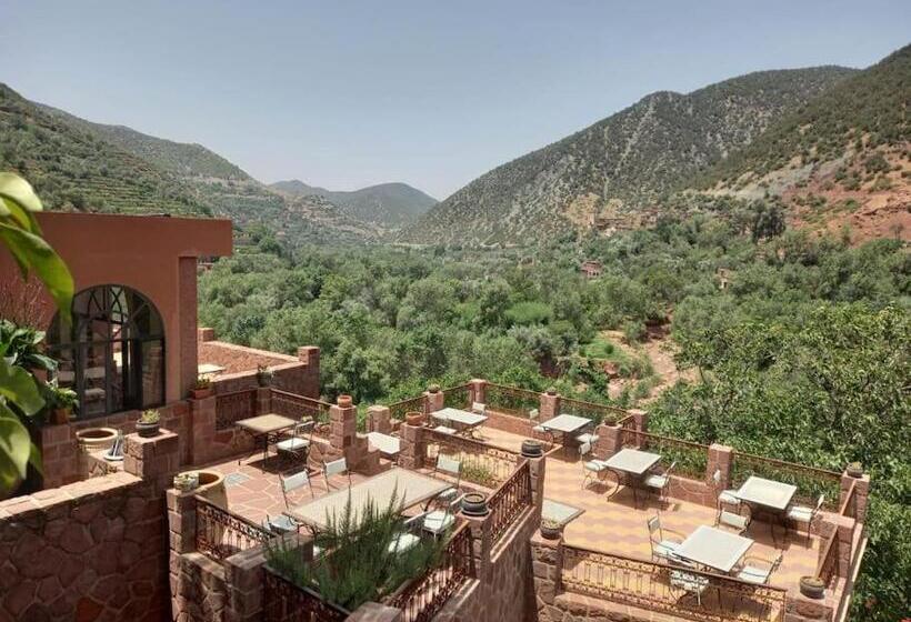 پانسیون Boutique Guesthouse Dar Zohra