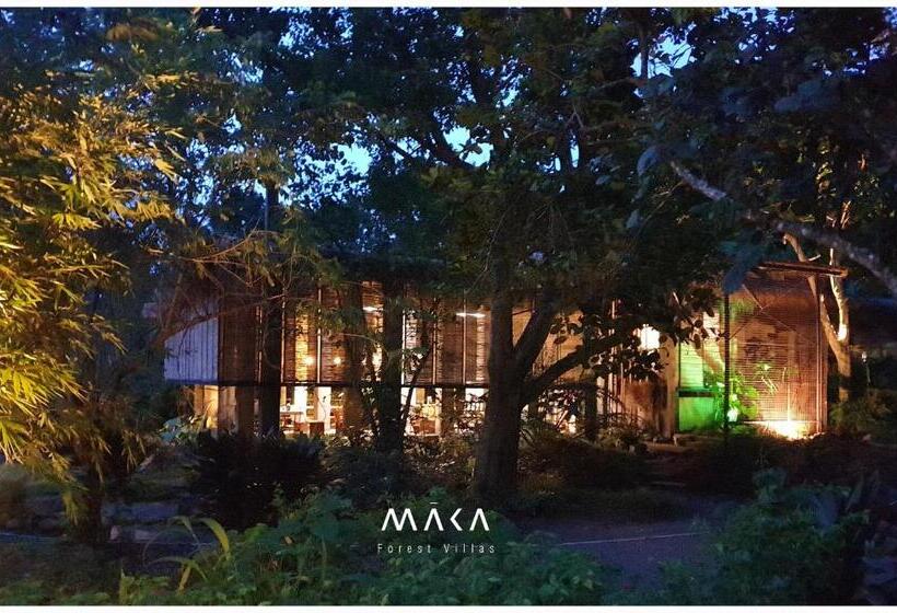 مبيت وإفطار Maka Kalinaw 6 Wabi Sabi Room, Forest And Garden View