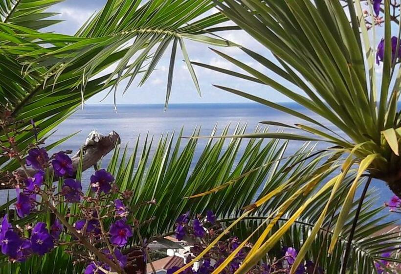 مبيت وإفطار Miradouro Da Papalva Guest House   Pico   Azores