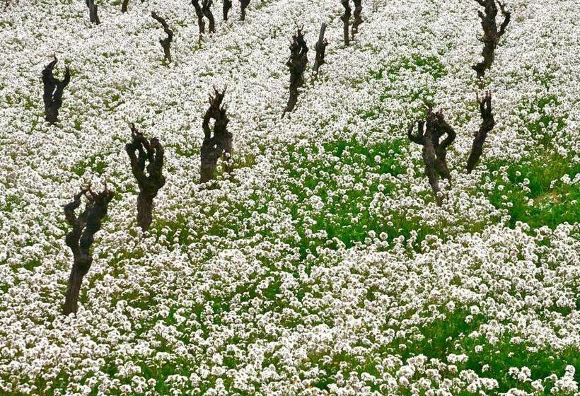 ペンション L Itinérante