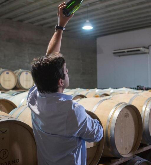 فندق صغير Pizzorno Lodge & Wine