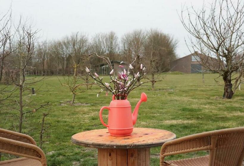 B&b Buutegeweun