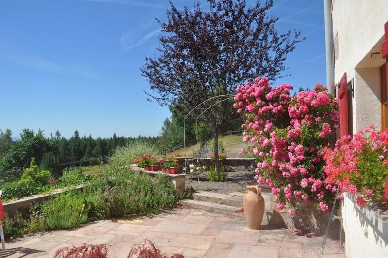 ベッドアンドブレックファースト Chambre Merisier Dans Une Ferme Avec étang Privé Au Coeur De La Région Des Mille étangs, Faucogney E