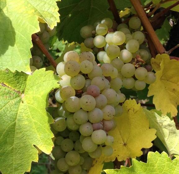 ベッドアンドブレックファースト Gästehaus Mona Lisa