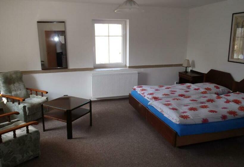 Bed and Breakfast Penzion Cerny Mlyn Sokolov