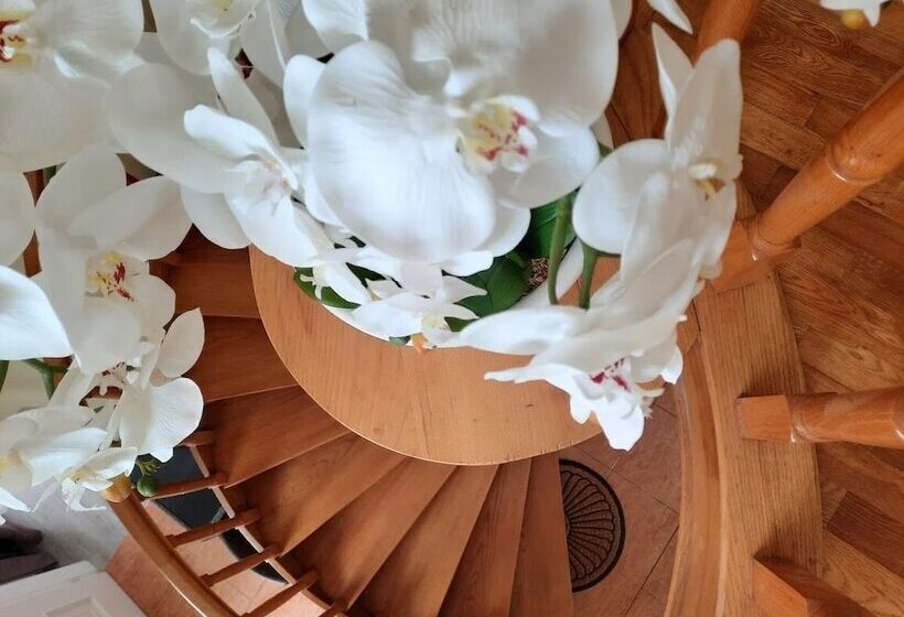 민박 Smiling Places   Guest House In Labruge
