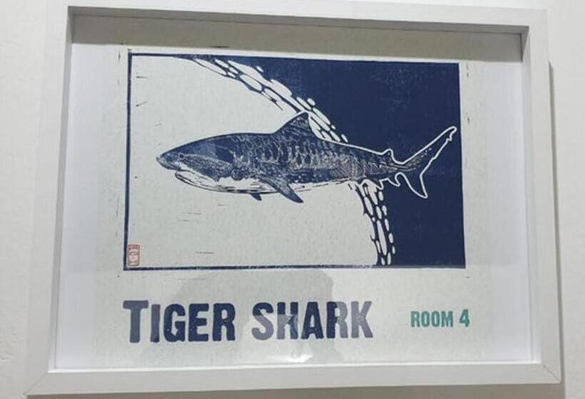 צימר The Lazy Shark