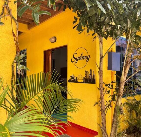 فندق Apo Diver Beach Resort