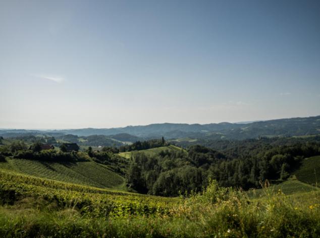 هتل Mahorko Wein Wellness Wasserbüffel