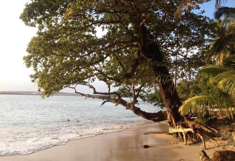 هتل Masokut Surf Camp Siberut Mentawai Surfing Barrels