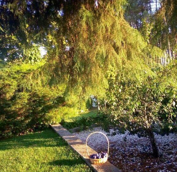 בית מלון כפרי Pinheirinhos   Quinta De São Caetano