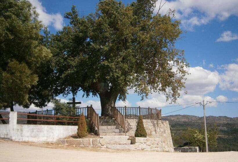 Отель Pinheirinhos Quinta De São Caetano