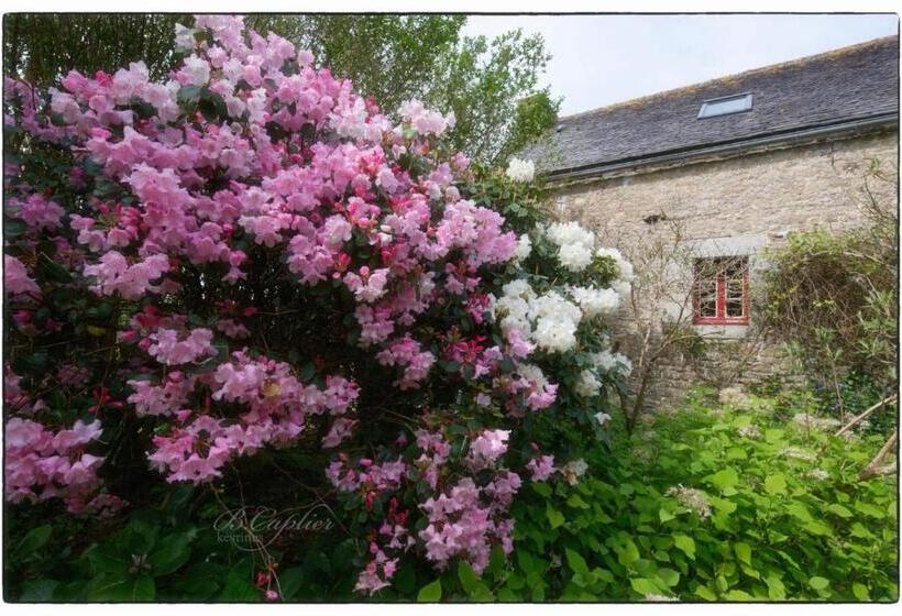 Manoir Pors Braz B&b