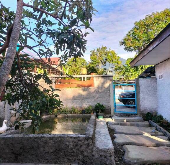 פנסיון Azalea2