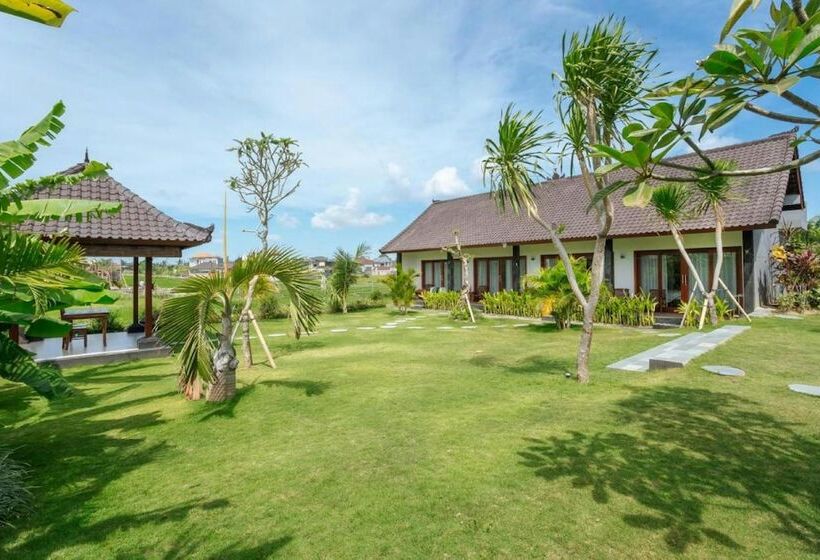 膳宿费 Carik Bali Guest House Canggu