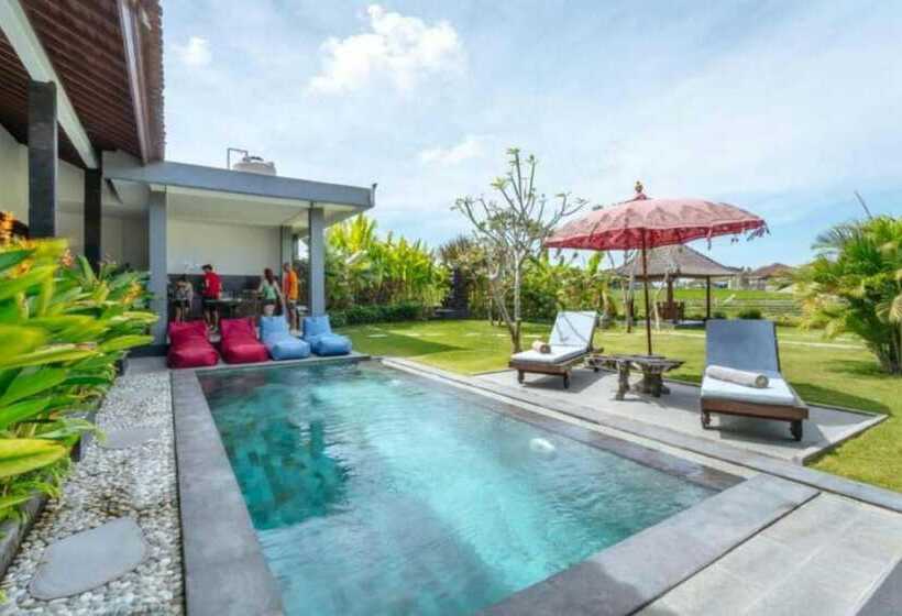 膳宿费 Carik Bali Guest House Canggu