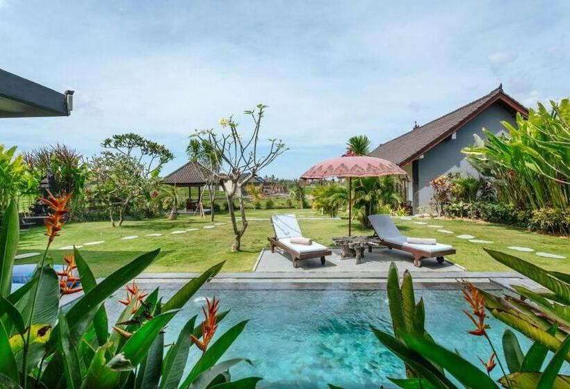 膳宿费 Carik Bali Guest House Canggu