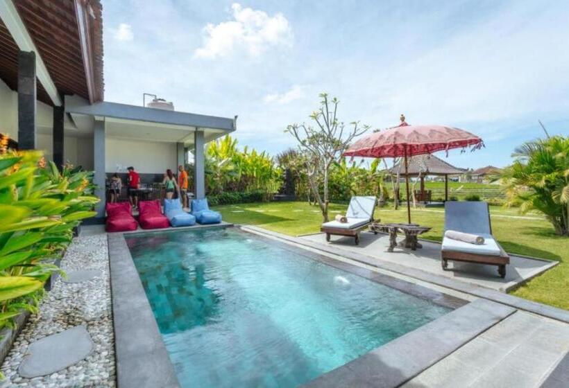 膳宿费 Carik Bali Guest House Canggu