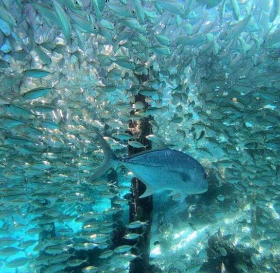 پانسیون Gibran Guest House