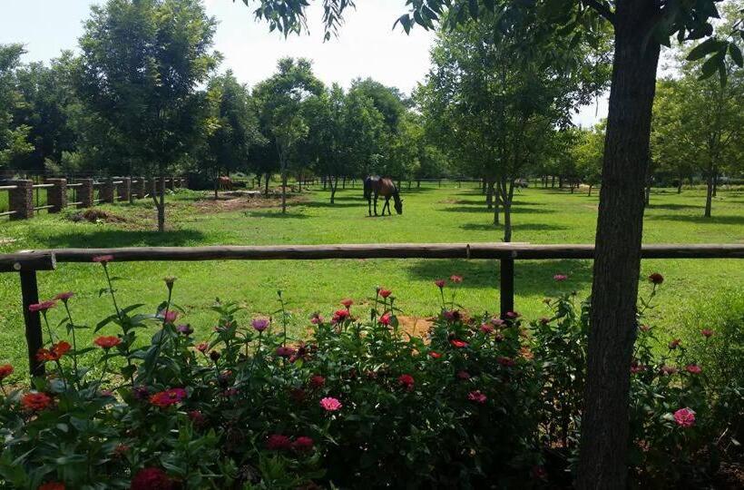 פנסיון Green Willows Guest House