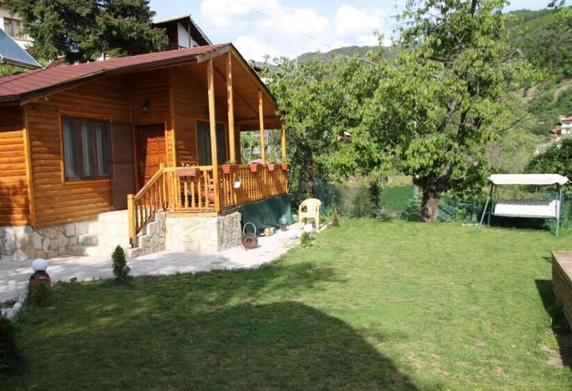 פנסיון Guest House „ Mountain Rest“