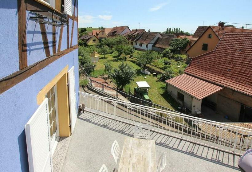 بنسيون La Belle Alsacienne   Route Des Vins D Alsace