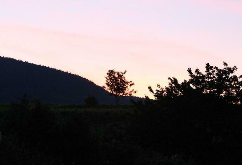 بنسيون La Belle Alsacienne   Route Des Vins D Alsace