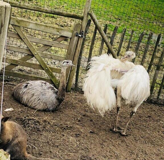 پانسیون Mmghome   Gîte à La Ferme