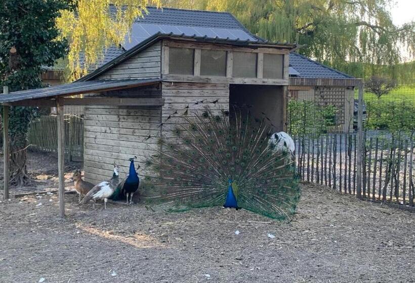 پانسیون Mmghome   Gîte à La Ferme