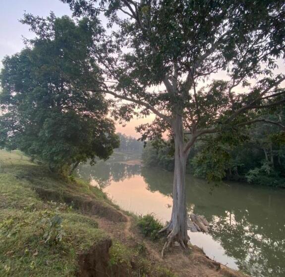 Sal Tree Resort By Vihasta, Kanha