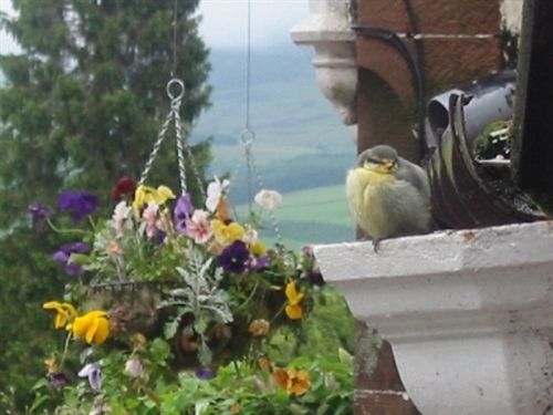 Bed and Breakfast Marchbankwood House