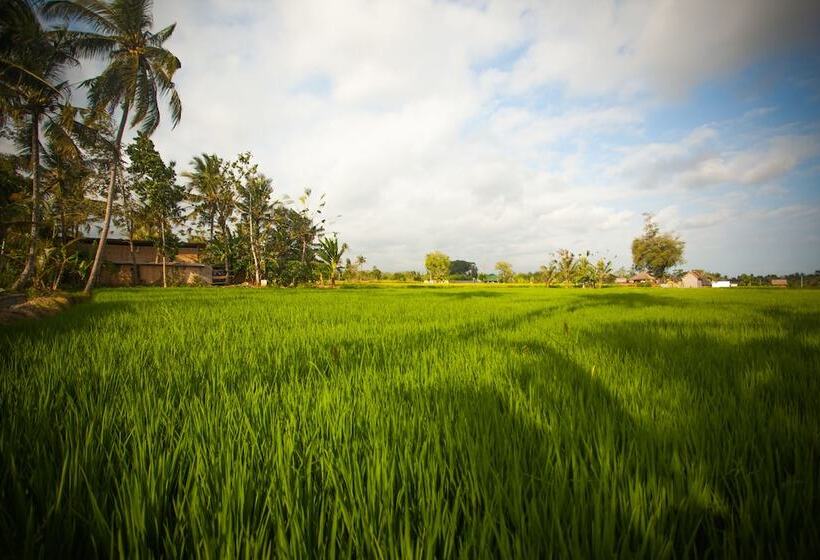 Fotos del hotel Anulekha Resort And Villa:  46