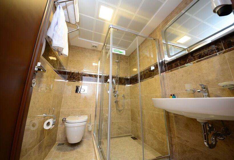 Fotos del hotel Grand Bazaar:  14