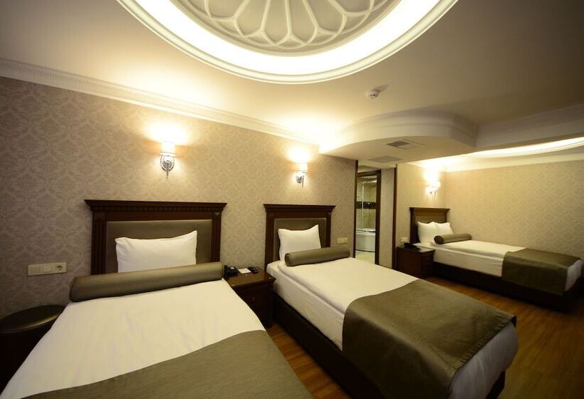 Fotos del hotel Grand Bazaar:  8