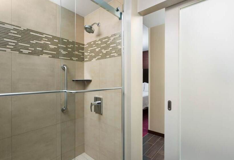 Fotos del hotel Hampton Inn Times Square Central:  46