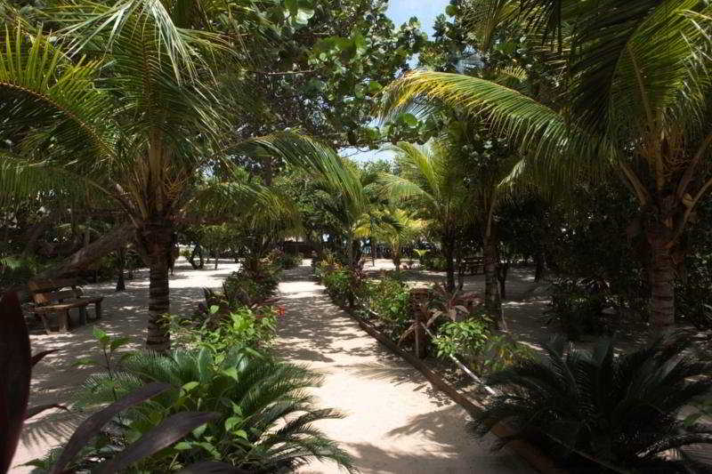 Fotos del hotel Paradise Beach Hotel:  47