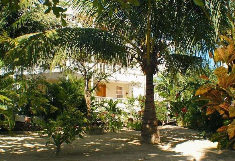 Fotos del hotel Paradise Beach Hotel:  44