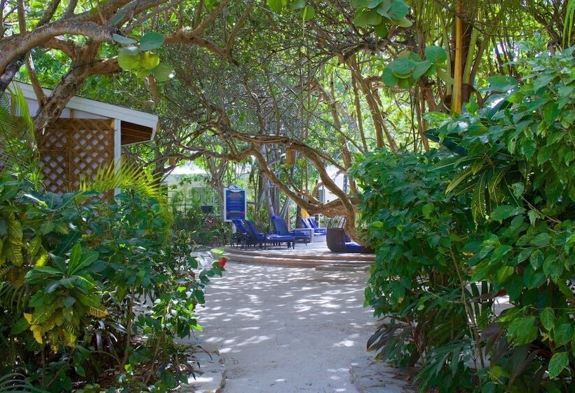 Fotos del hotel Paradise Beach Hotel:  20