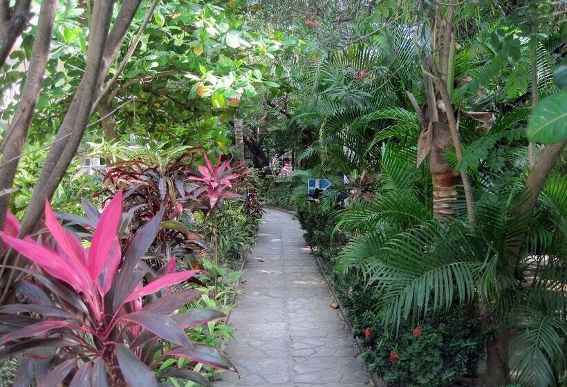Fotos del hotel Paradise Beach Hotel:  9