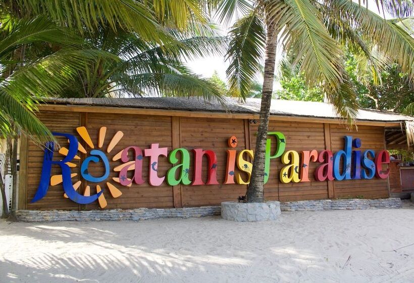 Fotos del hotel Paradise Beach Hotel:  8