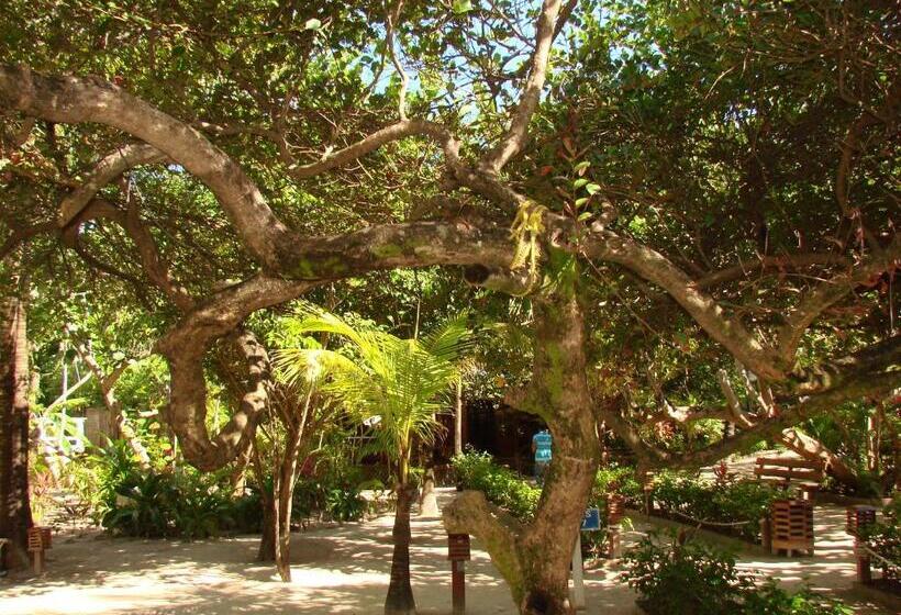 Fotos del hotel Paradise Beach Hotel:  6