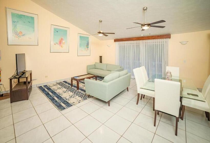 Fotos del hotel Paradise Beach Hotel:  59